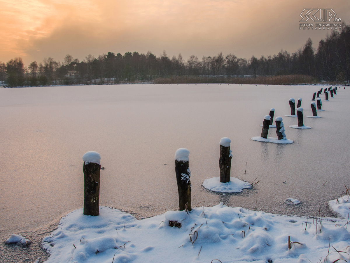 Lommel Sahara Some photos of Lommel Sahara with the first snow of this winter. The Sahara is a small nature reserve with ponds, woods and some small sand dunes.  Stefan Cruysberghs